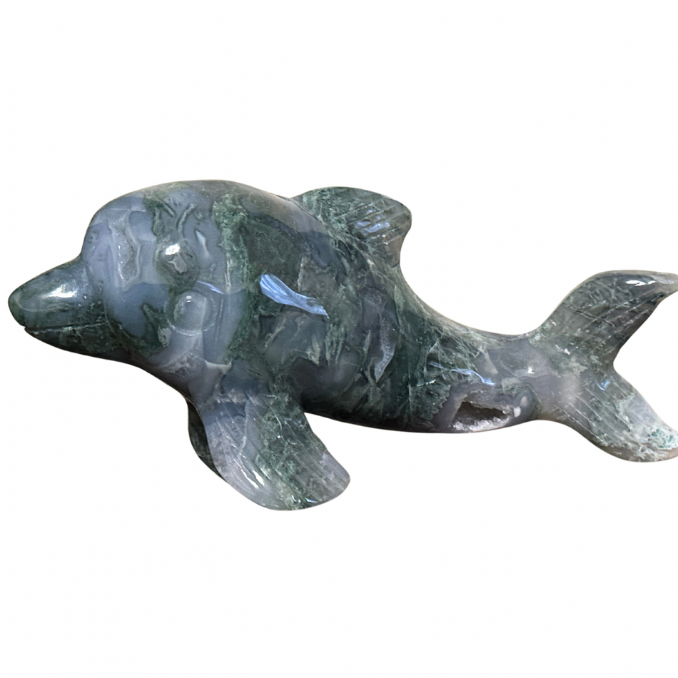 Druzy Natural Moss Agate Crystal Dolphin Carving